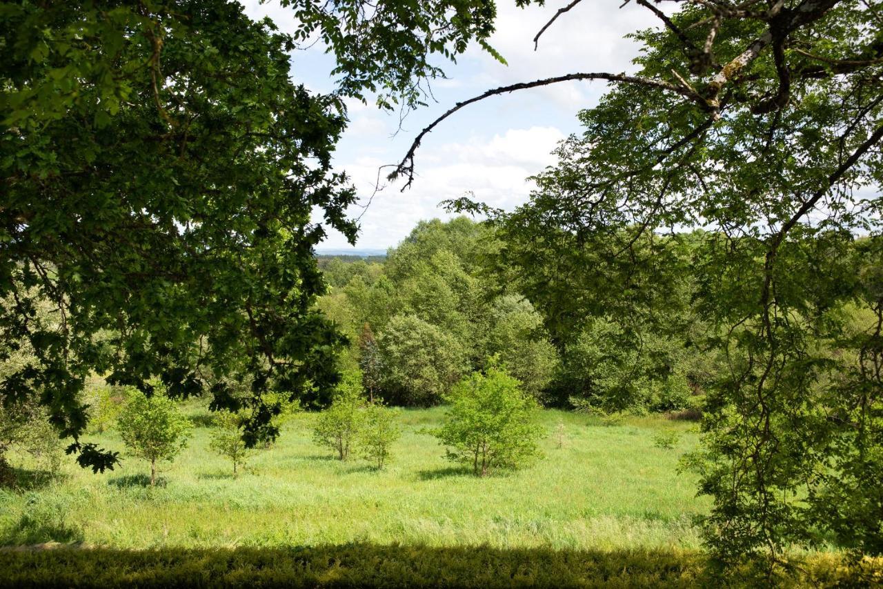Casa Quinta De Cecil Villalba, Lugo Vilalba Buitenkant foto